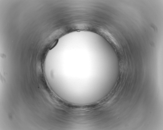 X0000091370213200708101120