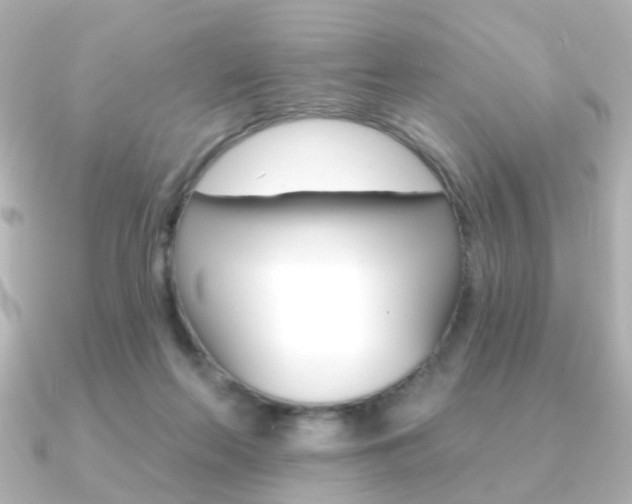 X0000091370214200708101120