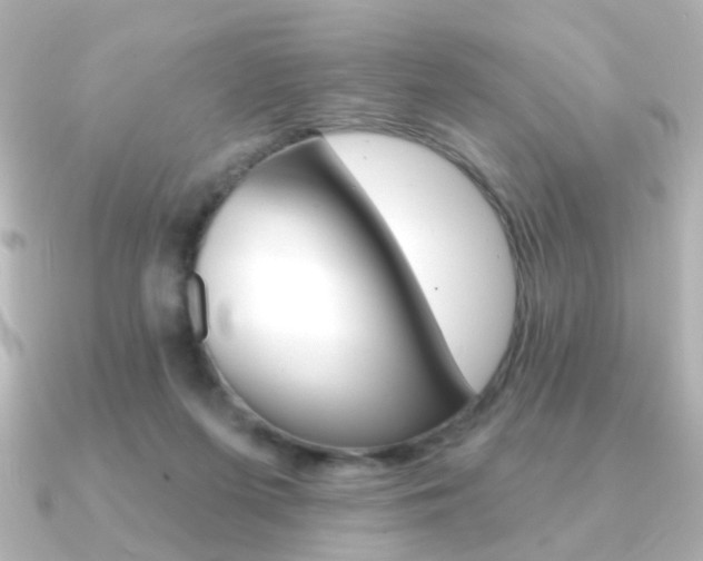 X0000091370215200708101120