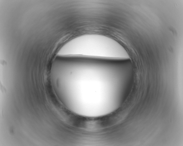 X0000091370216200708101120