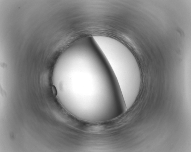 X0000091370217200708101120