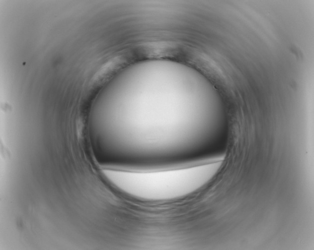 X0000091370219200708101120