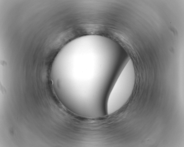 X0000091370221200708101120