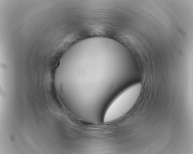 X0000091370223200708101120