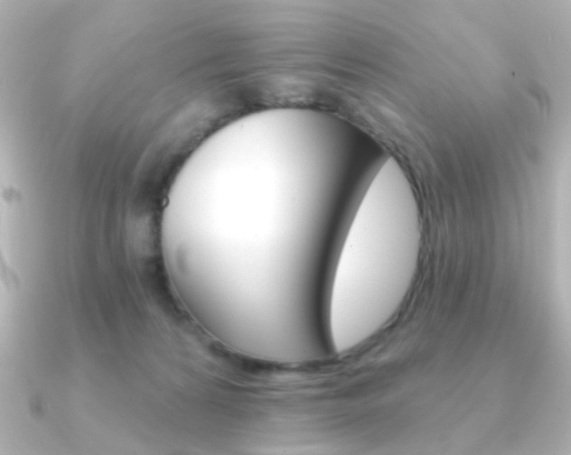 X0000091370224200708101120