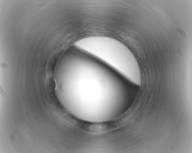 X0000091370225200708101120