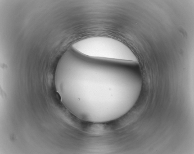 X0000091370227200708101120