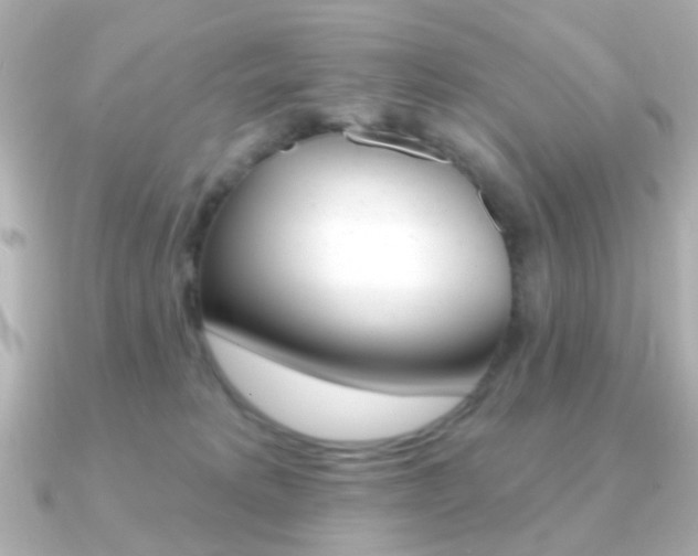 X0000091370229200708101120