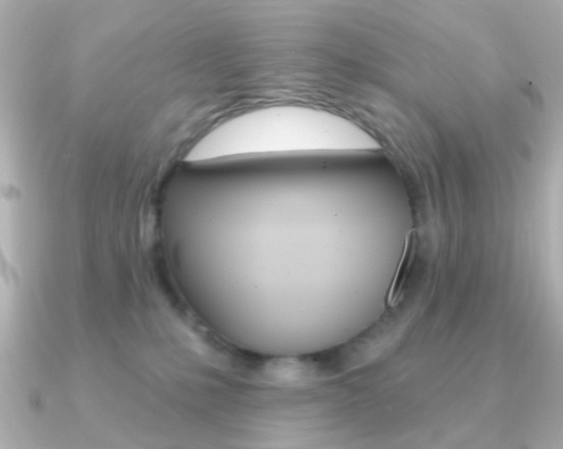 X0000091370231200708101120