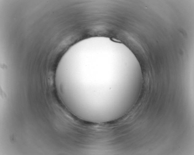 X0000091370232200708101120