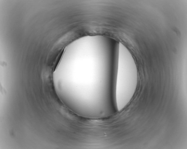 X0000091370233200708101120