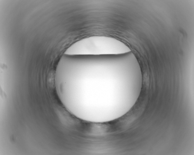 X0000091370234200708101120