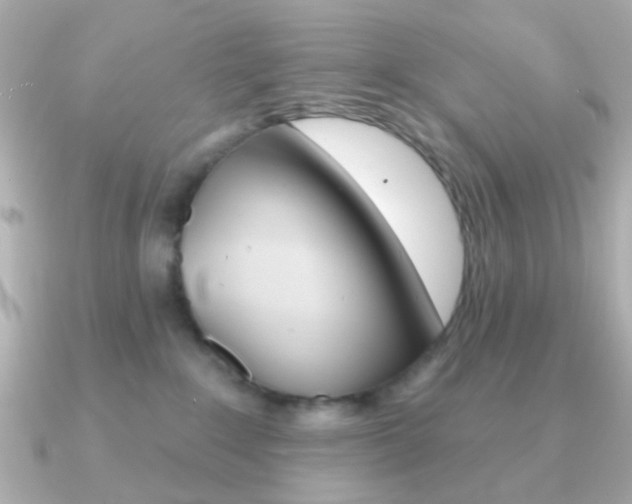 X0000091370235200708101120