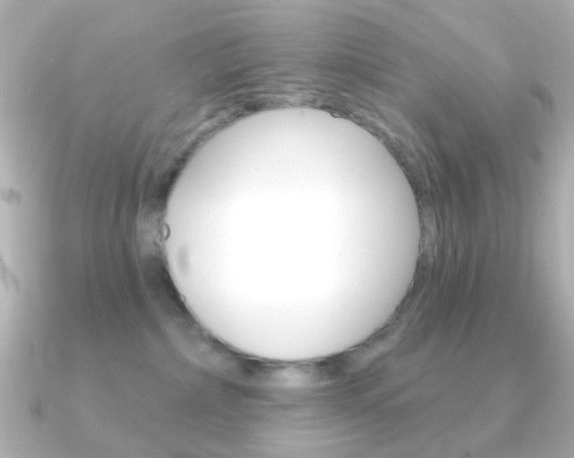 X0000091370236200708101120