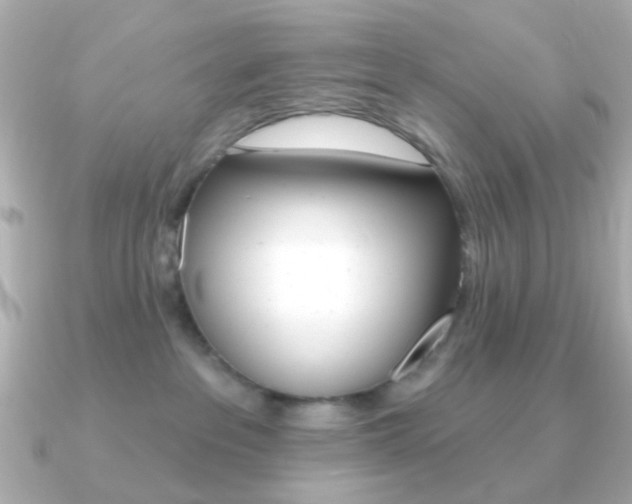 X0000091370237200708101120