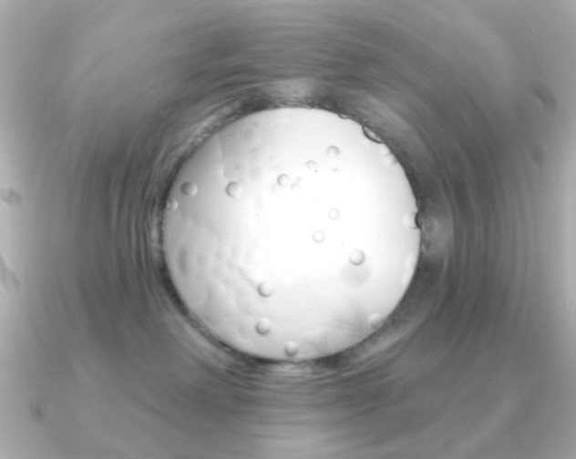 X0000091370238200708101120