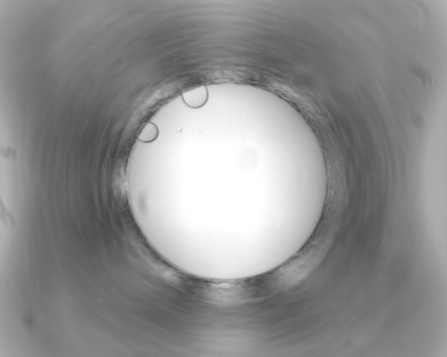 X0000091370240200708101120