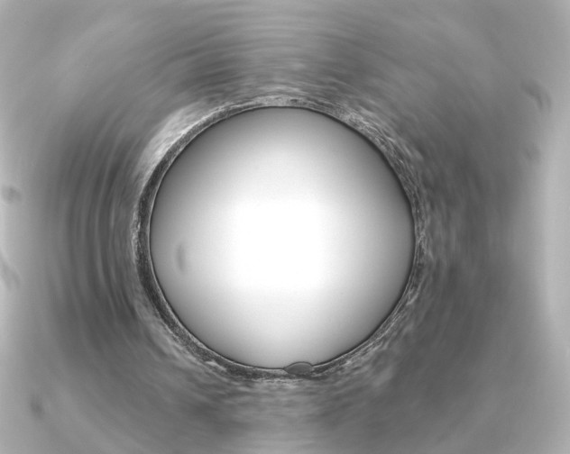X0000091370242200708101119