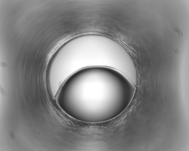 X0000091370244200708101119
