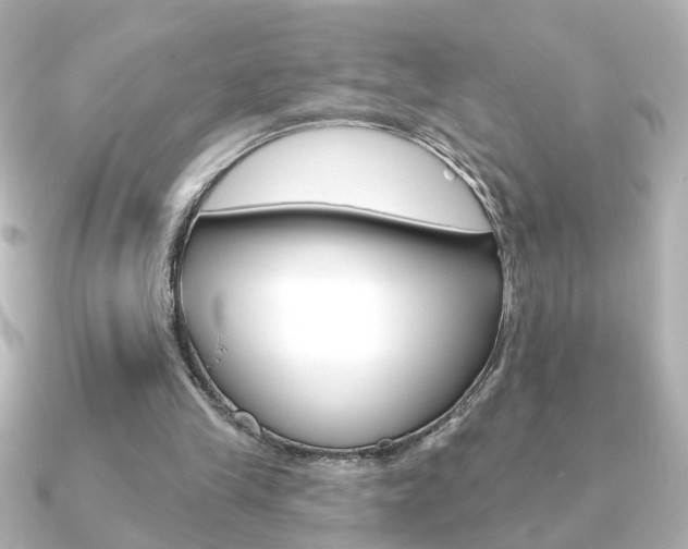 X0000091370245200708101119
