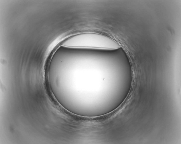 X0000091370246200708101119