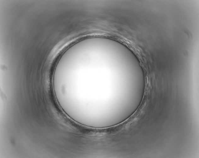 X0000091370247200708101119