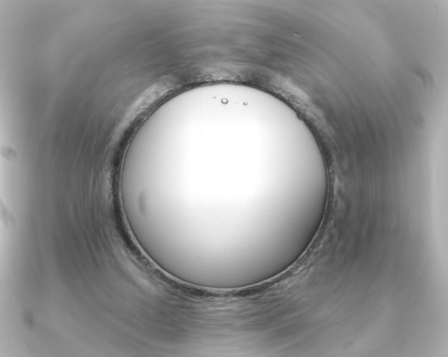X0000091370250200708101119