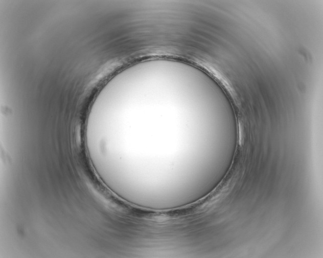 X0000091370253200708101119