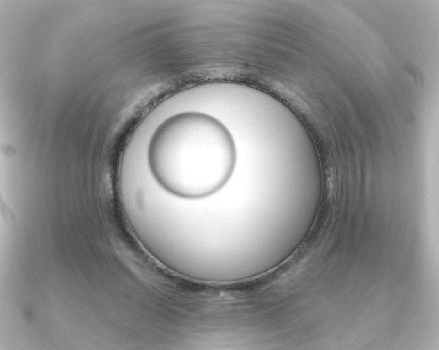 X0000091370254200708101119