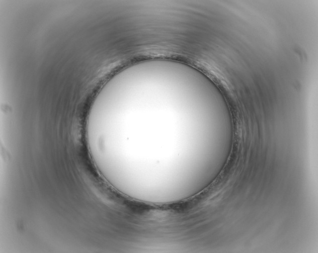 X0000091370255200708101119