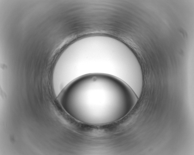 X0000091370256200708101119