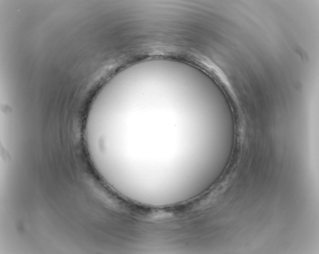 X0000091370257200708101120