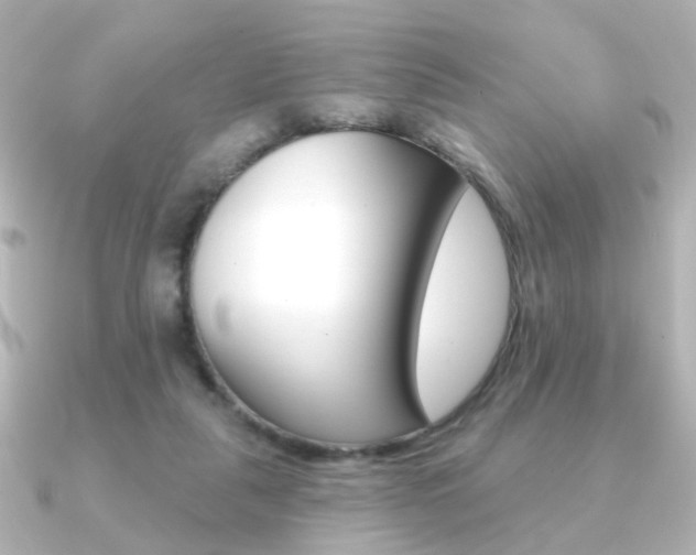 X0000091370259200708101120