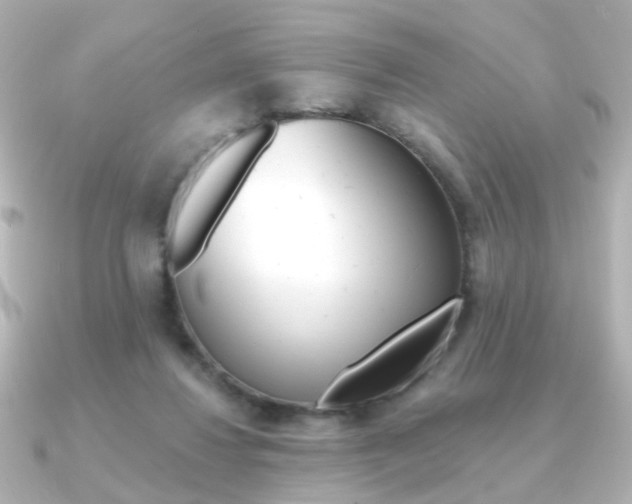 X0000091370260200708101120