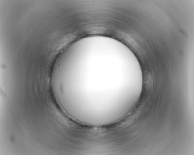 X0000091370261200708101120