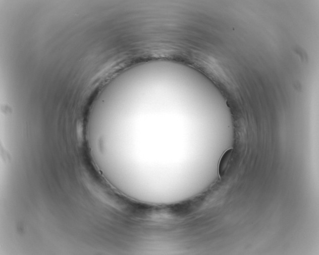 X0000091370262200708101120