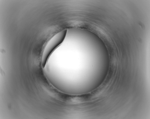 X0000091370268200708101120