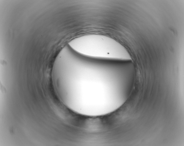 X0000091370271200708101120