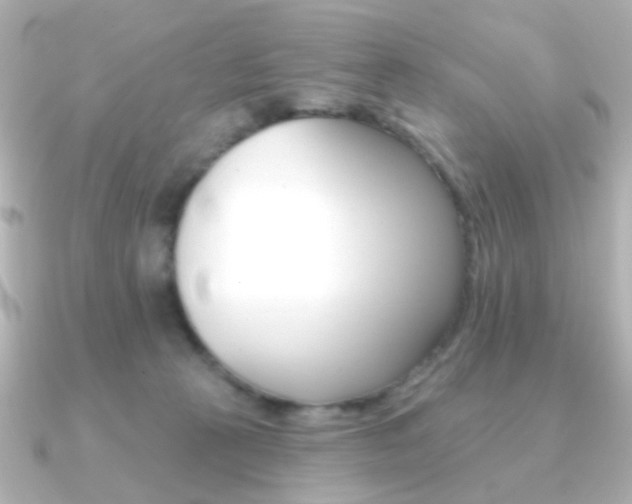 X0000091370273200708101120