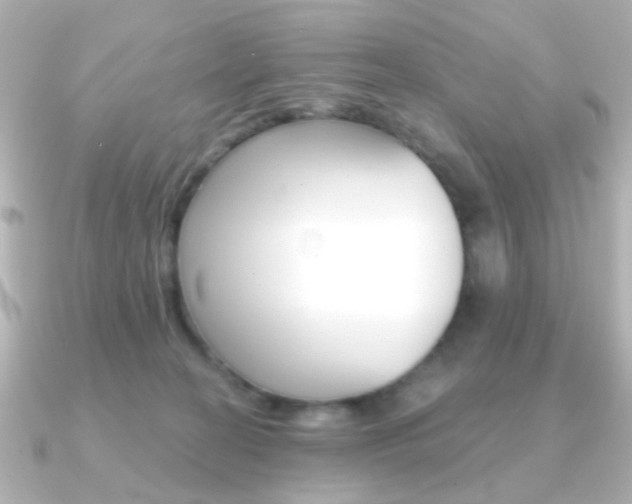 X0000091370274200708101120