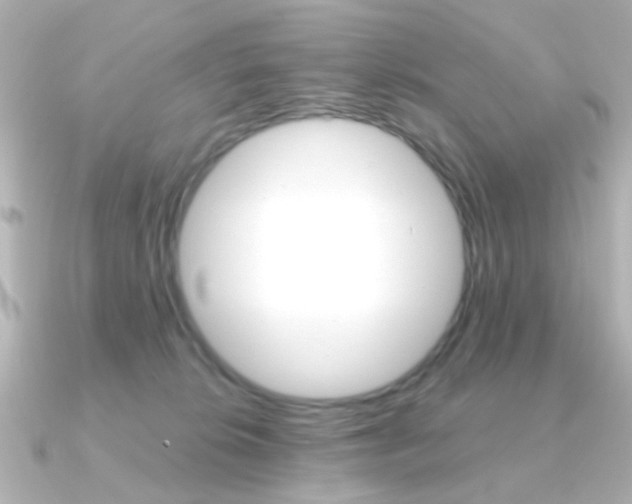 X0000091370276200708101120