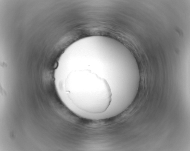 X0000091370278200708101120