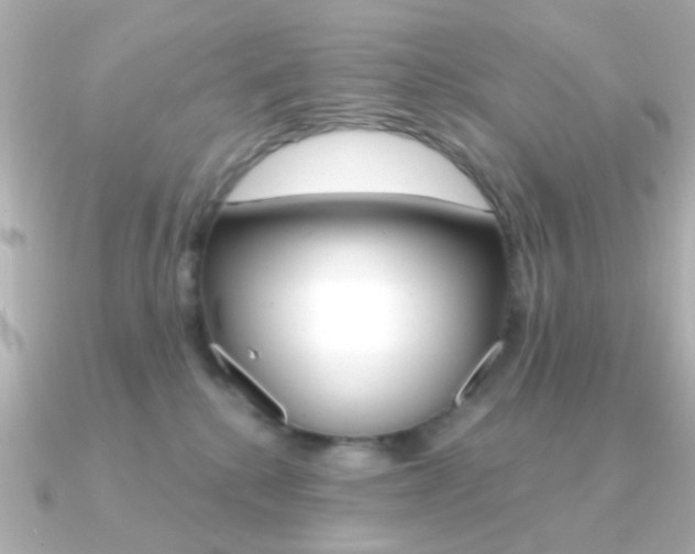 X0000091370280200708101120