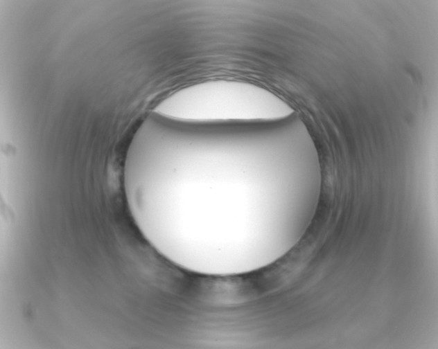 X0000091370282200708101120