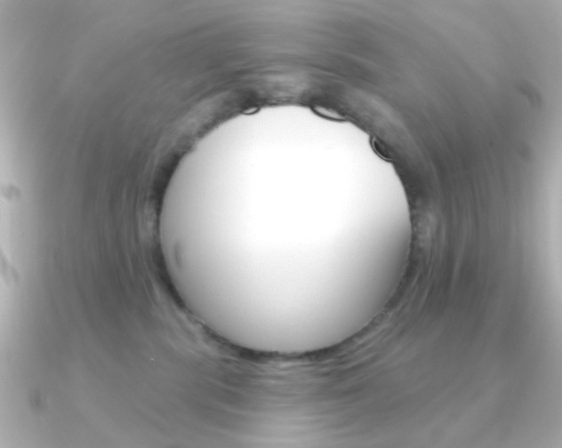 X0000091370283200708101120