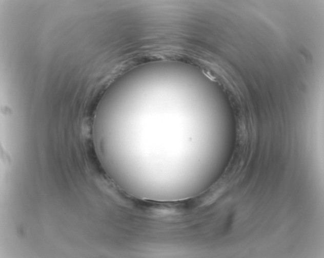 X0000091370284200708101120