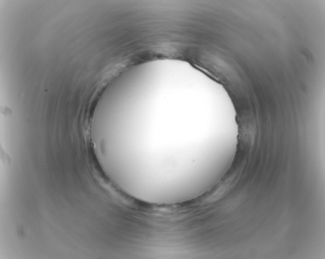 X0000091370285200708101120