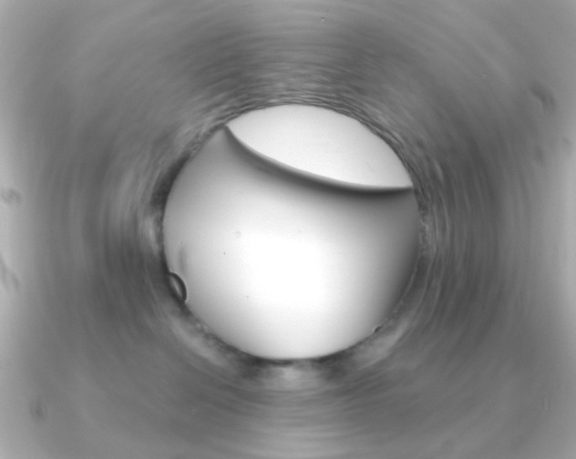 X0000091370286200708101120