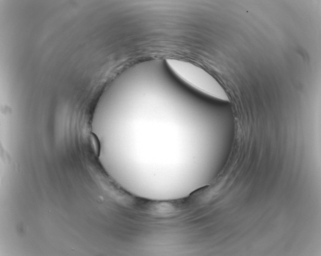 X0000091370287200708101120