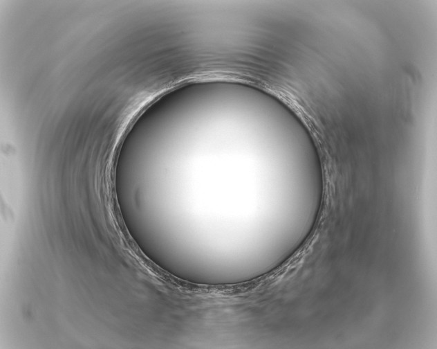 X0000091370289200708101119
